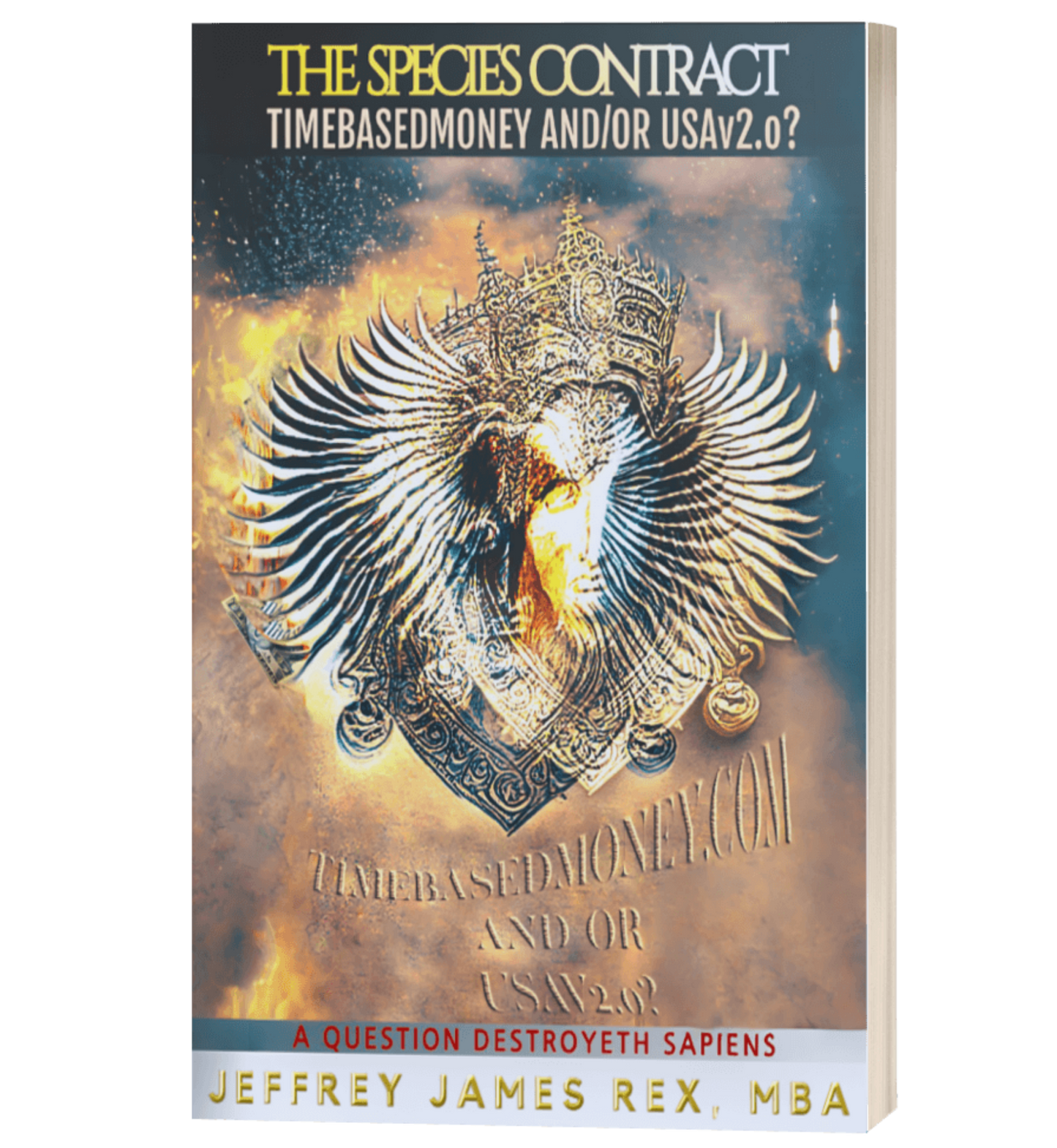 TimeBasedMoney and/or USAv2.o?: A Question Destroyeth sapiens PDF ebook